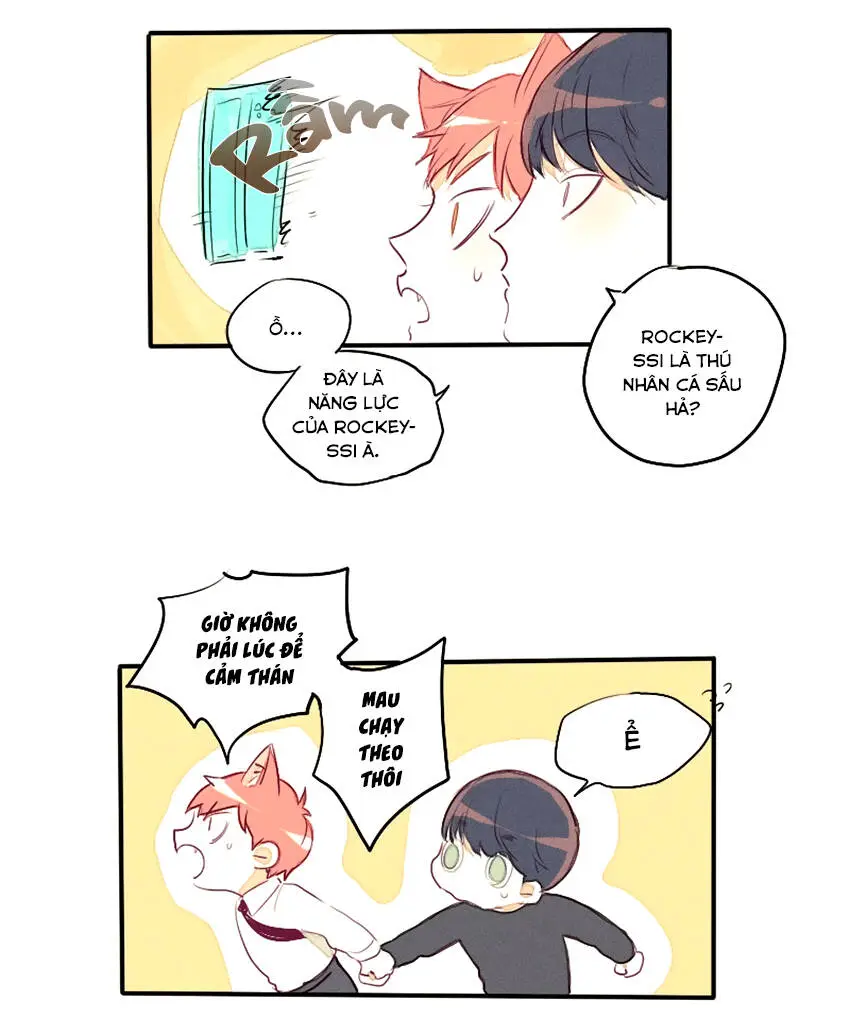 Chapter 25