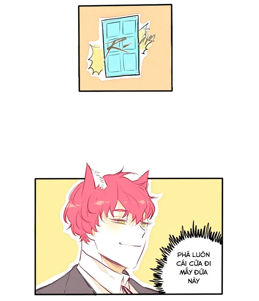 Chapter 25