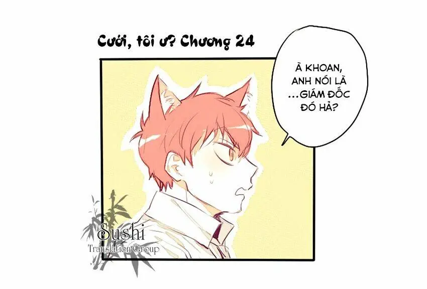 Chapter 24