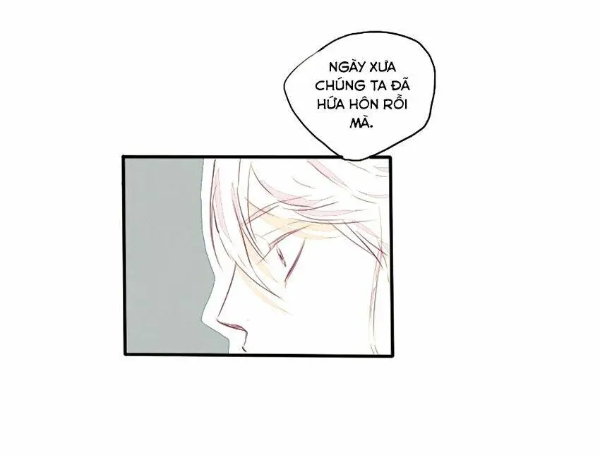 Chapter 24
