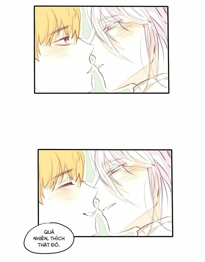 Chapter 24