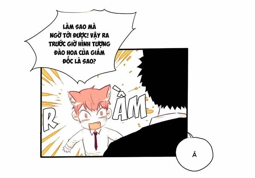 Chapter 24