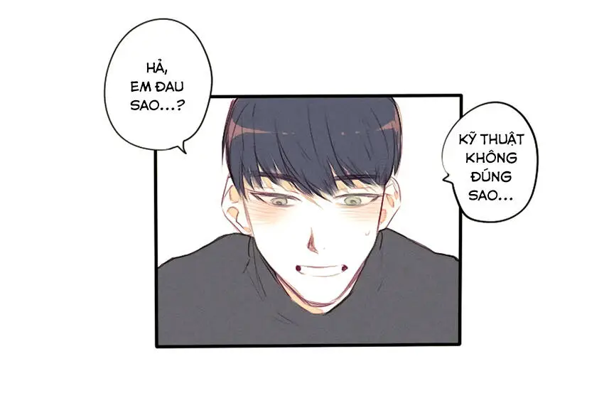 Chapter 23