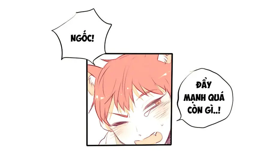 Chapter 23