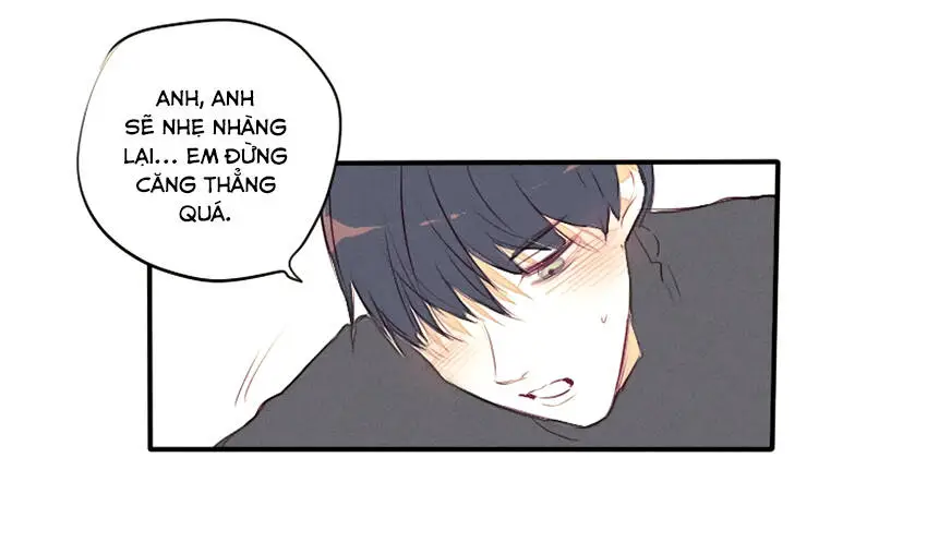 Chapter 23