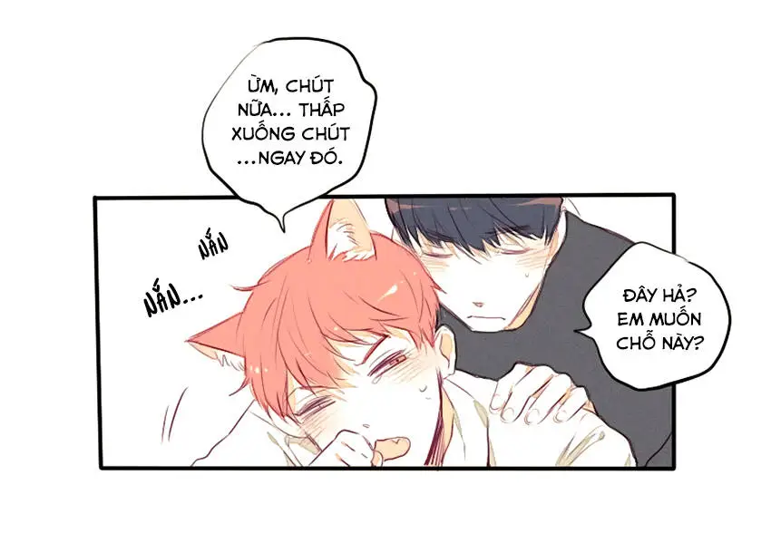 Chapter 23