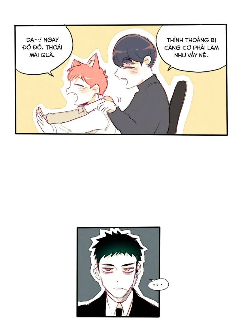 Chapter 23