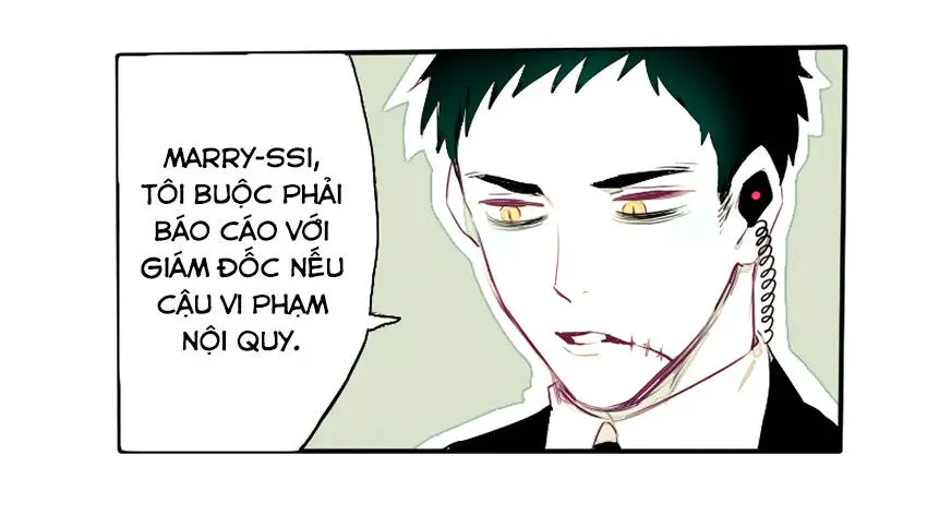 Chapter 23