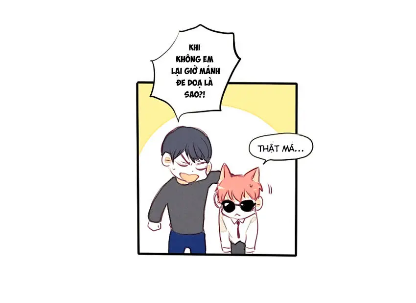 Chapter 23