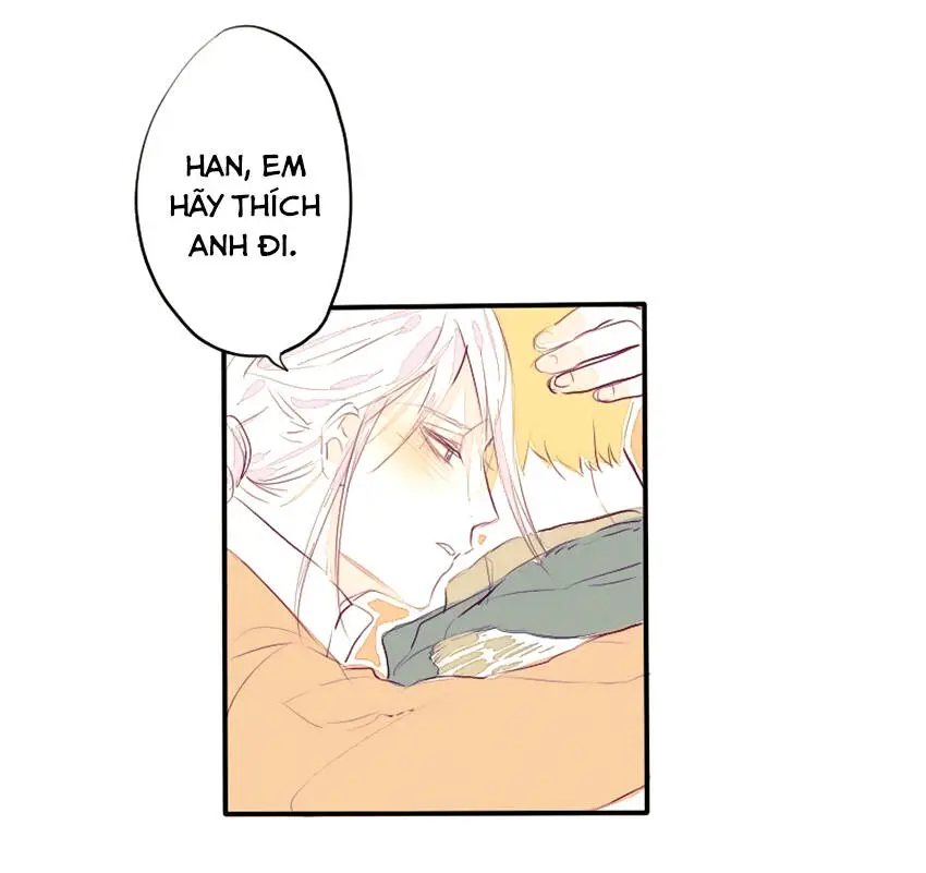 Chapter 23
