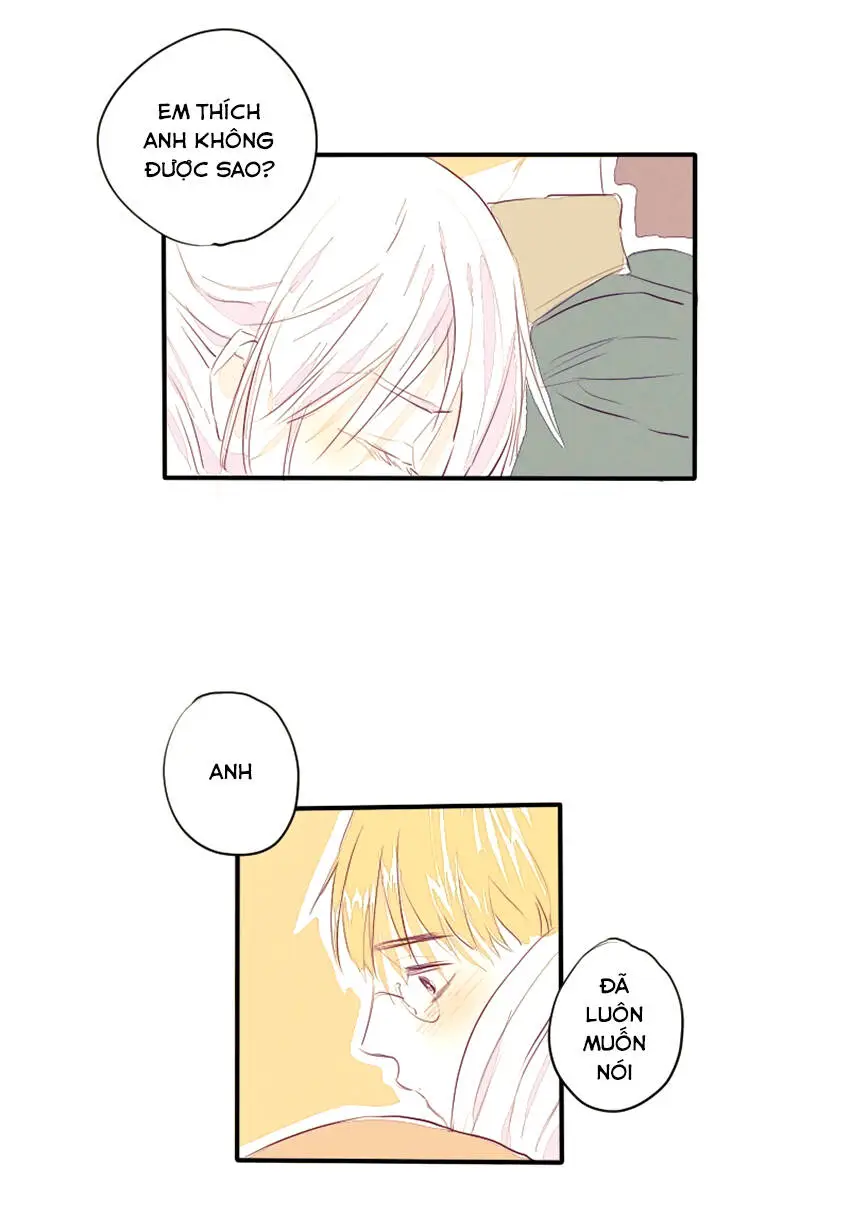 Chapter 23