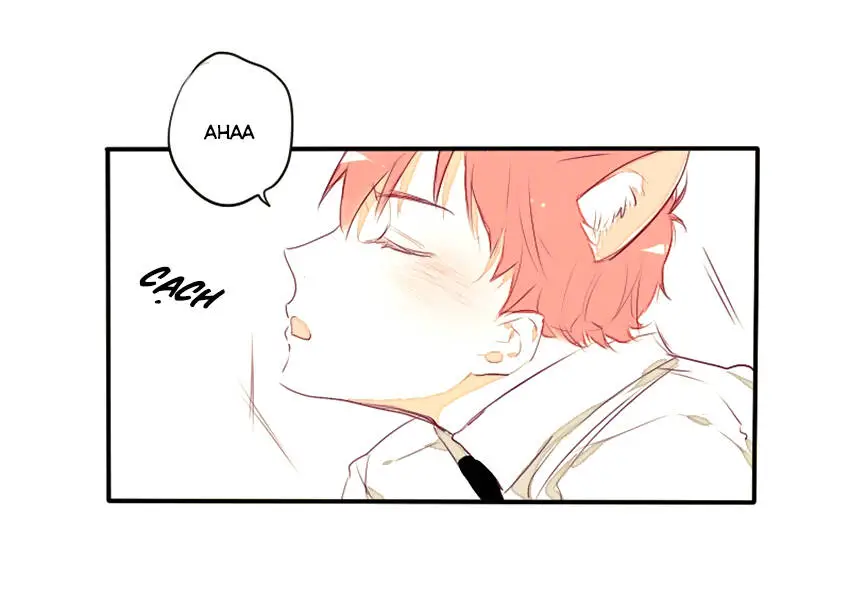 Chapter 23