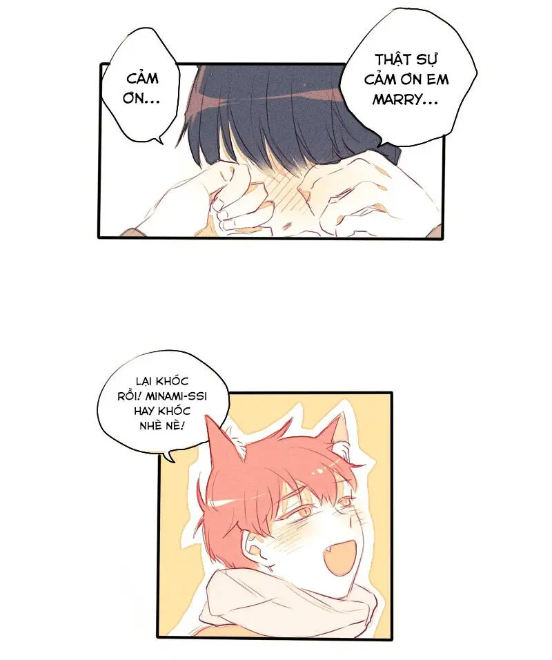 Chapter 22