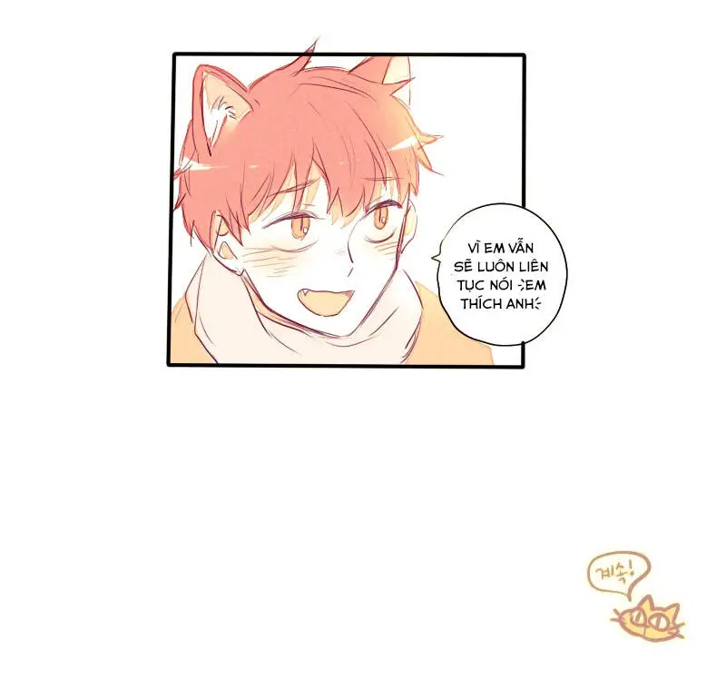 Chapter 22