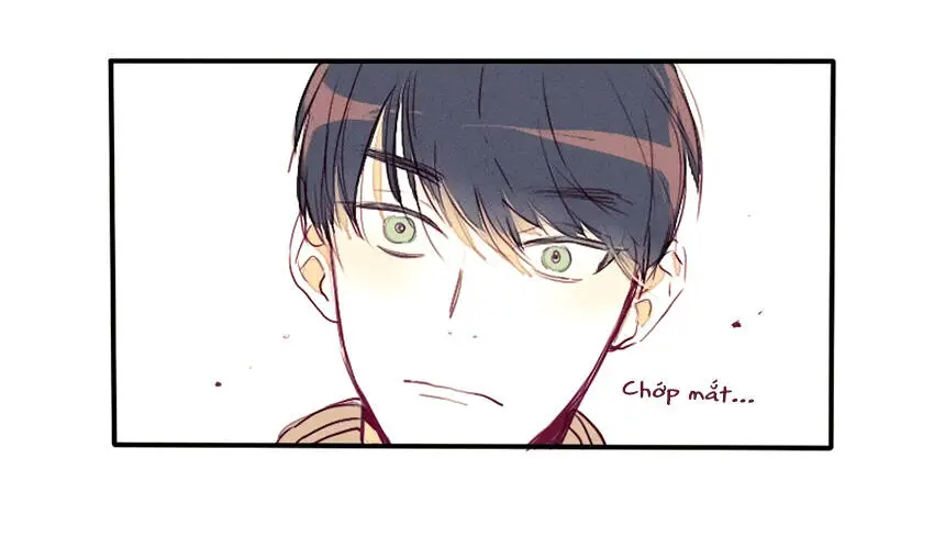 Chapter 22