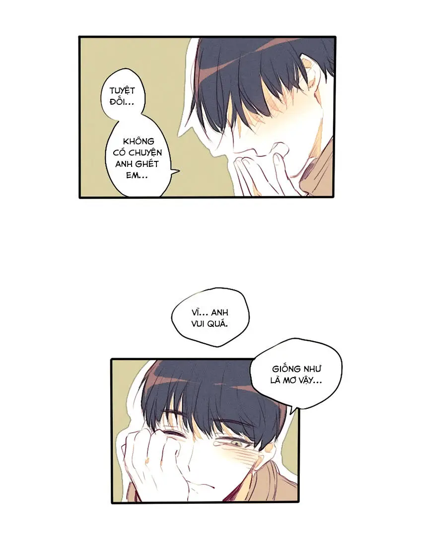 Chapter 22
