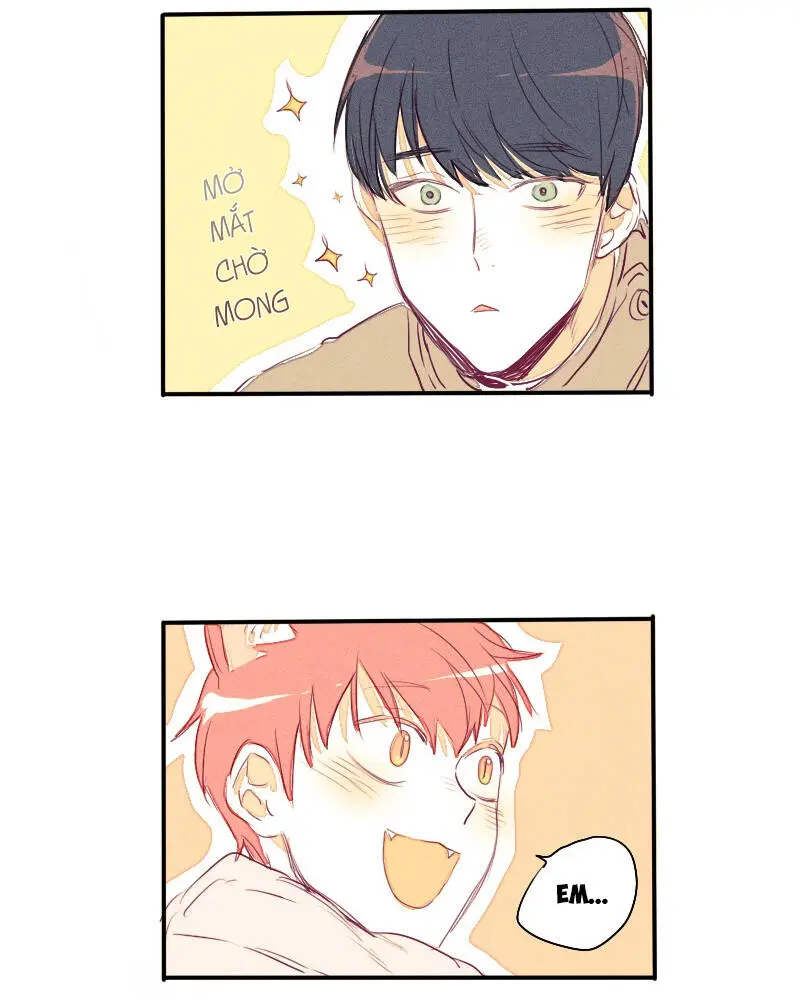 Chapter 22