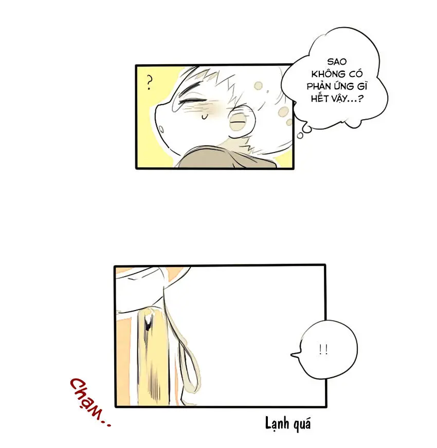 Chapter 21