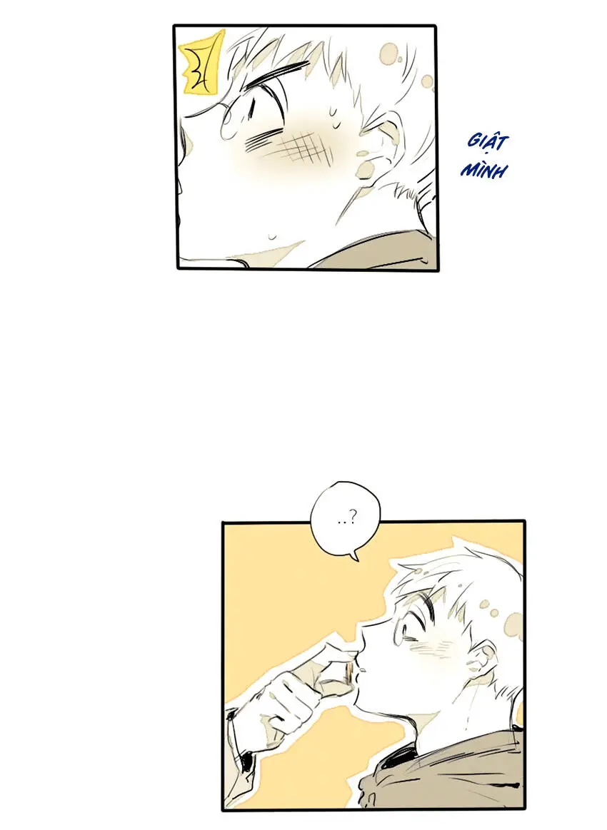 Chapter 21