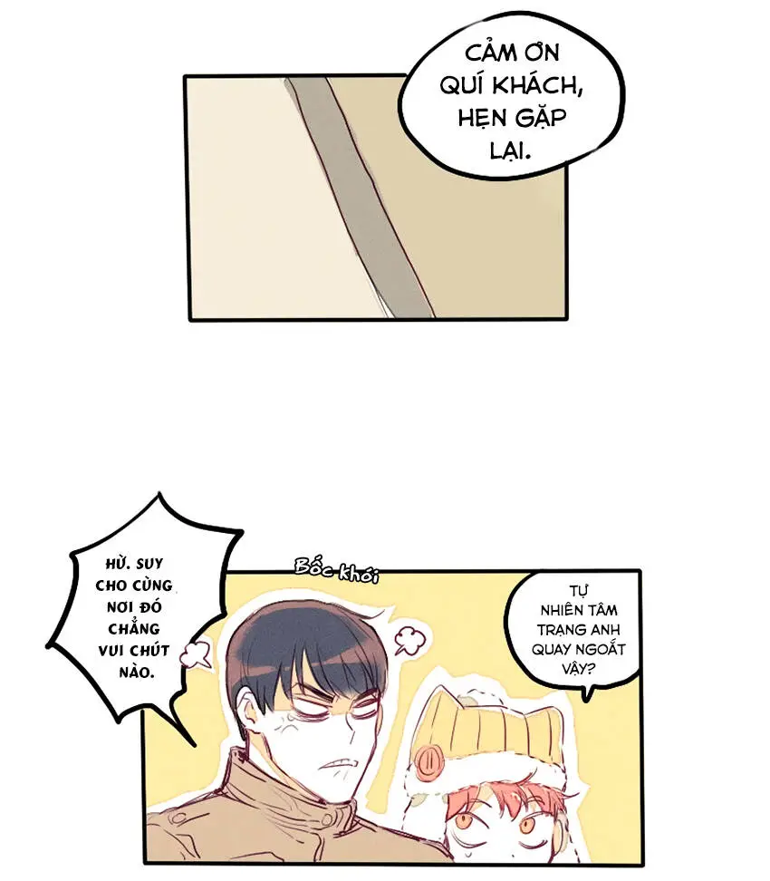 Chapter 20
