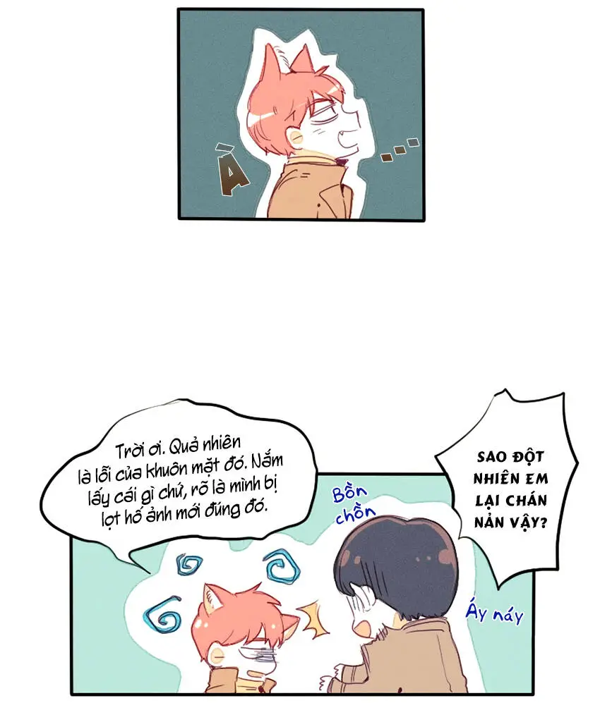 Chapter 19