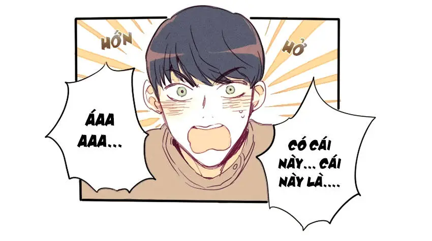 Chapter 19