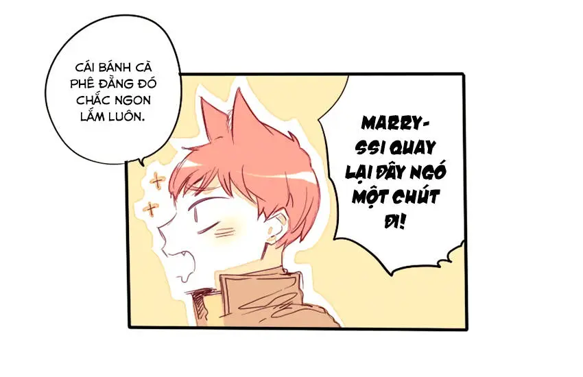 Chapter 19