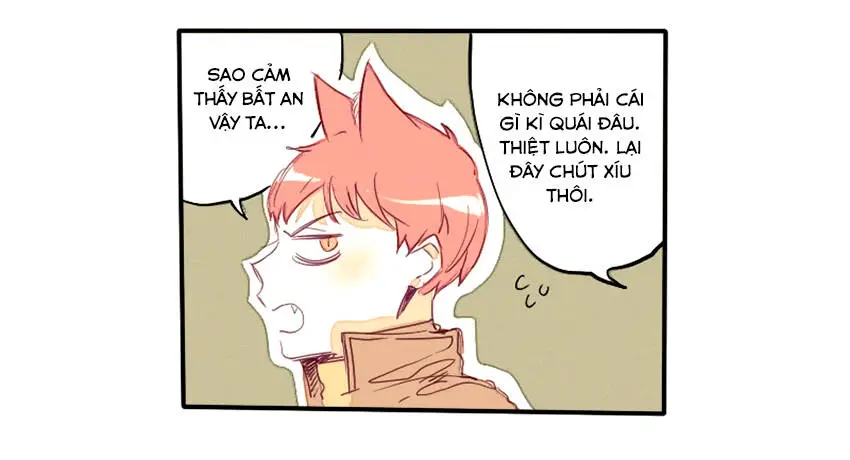 Chapter 19