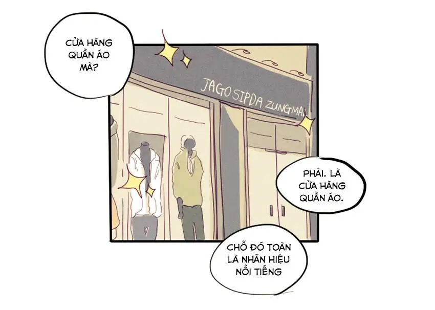 Chapter 19
