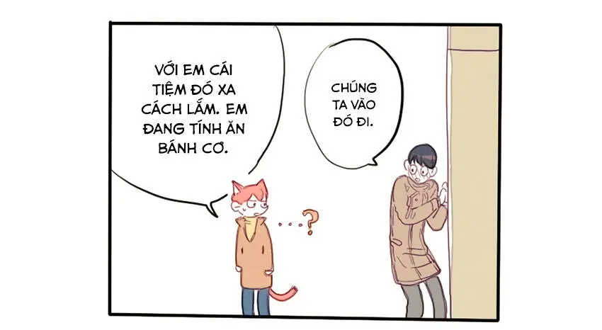Chapter 19