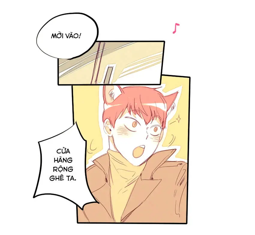 Chapter 19