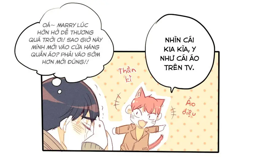 Chapter 19