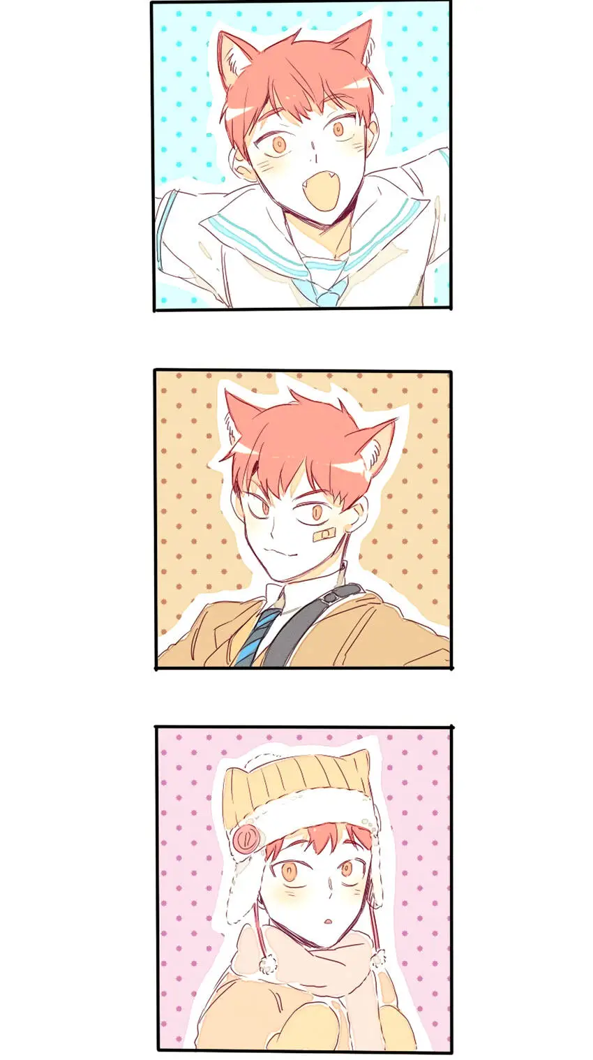 Chapter 19
