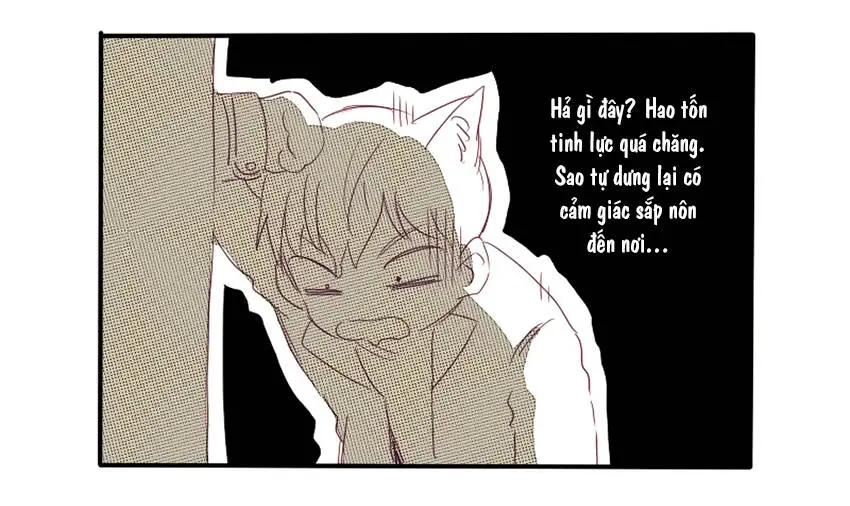 Chapter 19
