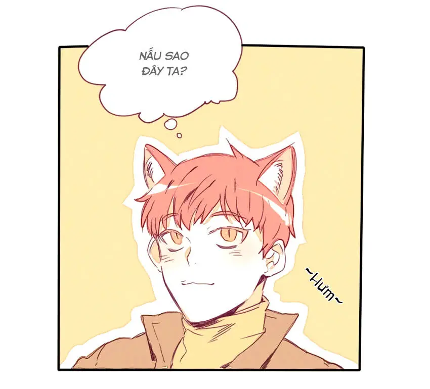 Chapter 19