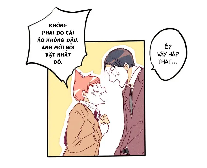Chapter 19