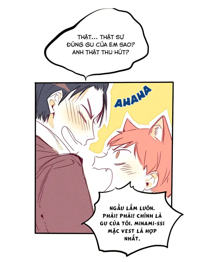 Chapter 19