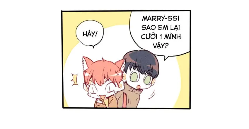 Chapter 19