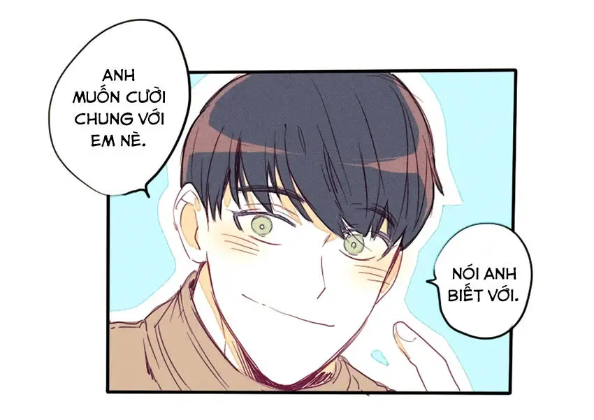 Chapter 19