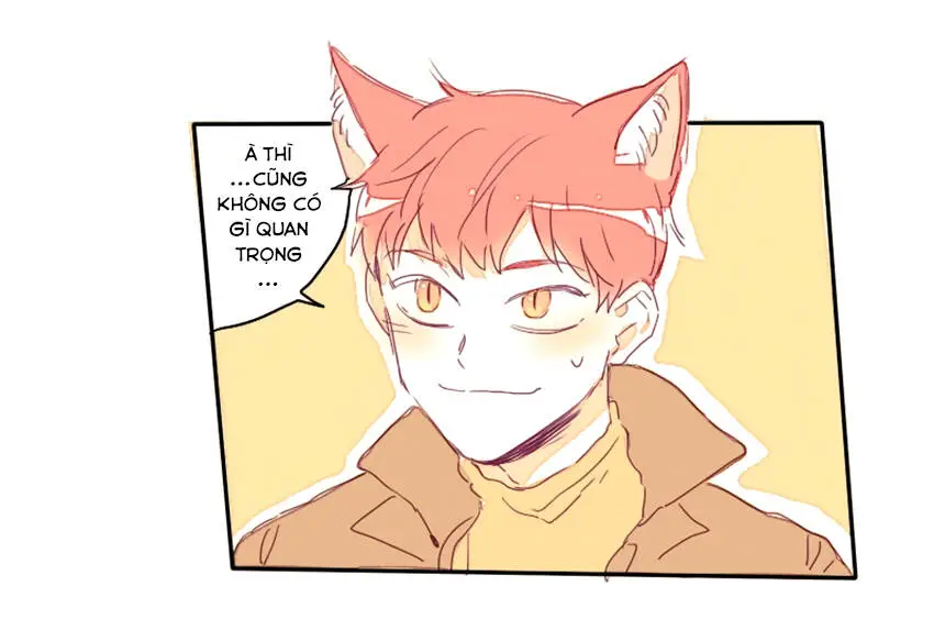 Chapter 17