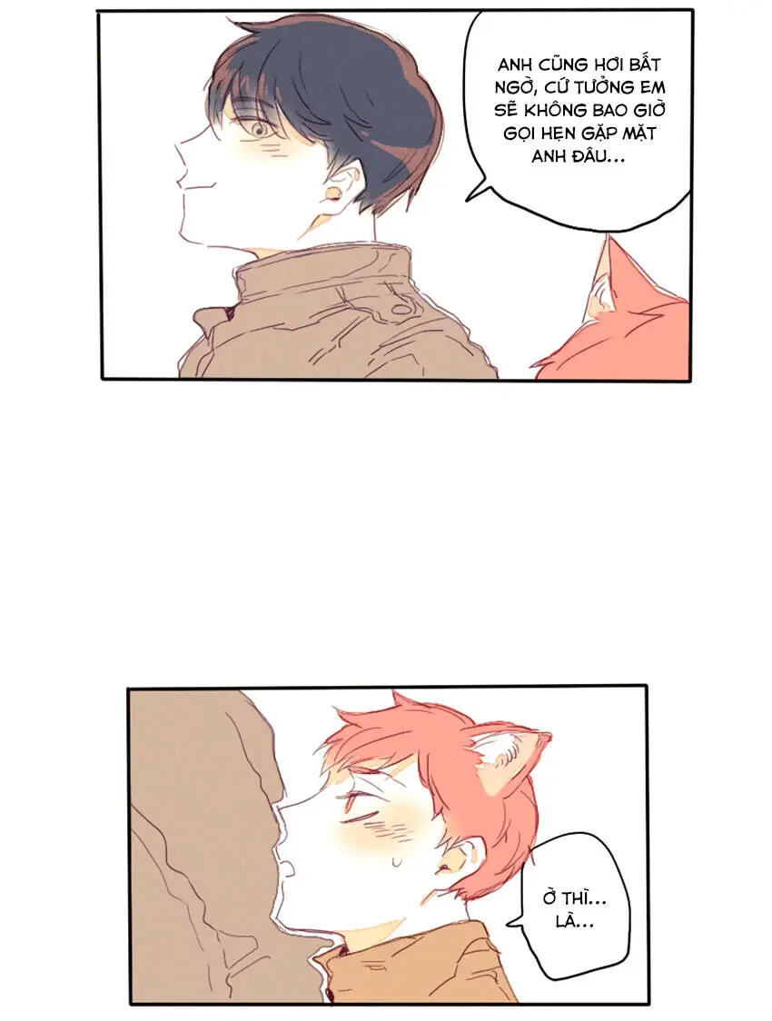 Chapter 17