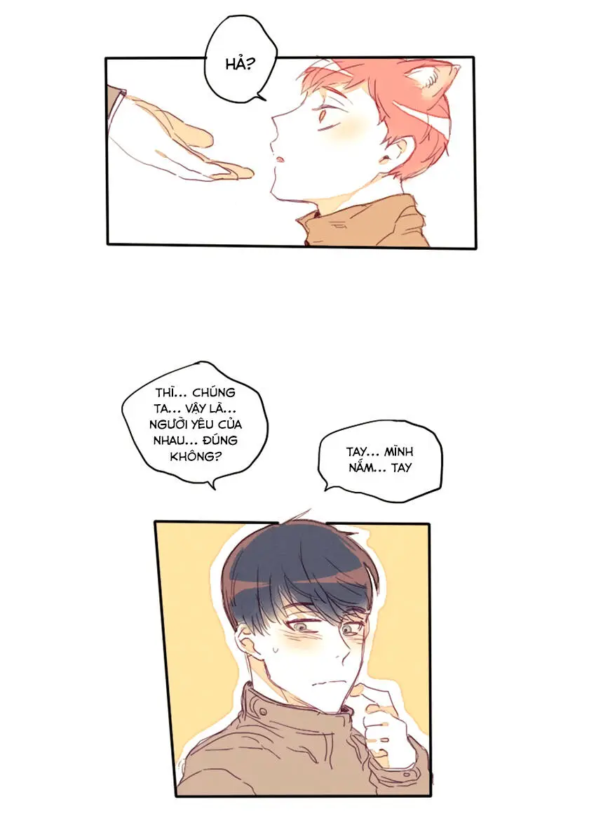 Chapter 17