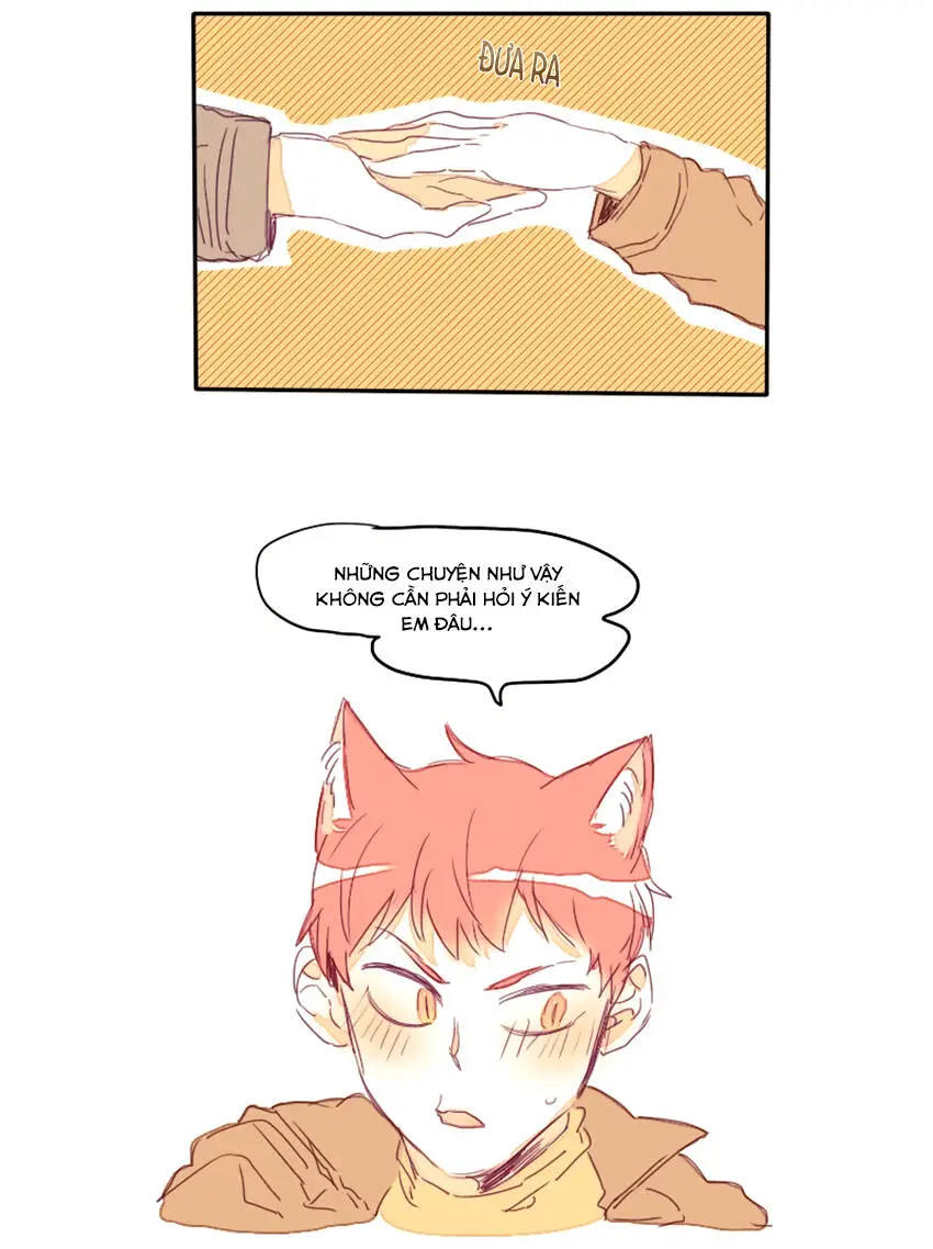 Chapter 17