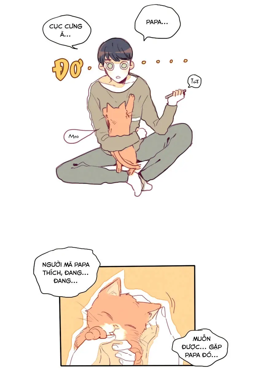 Chapter 17