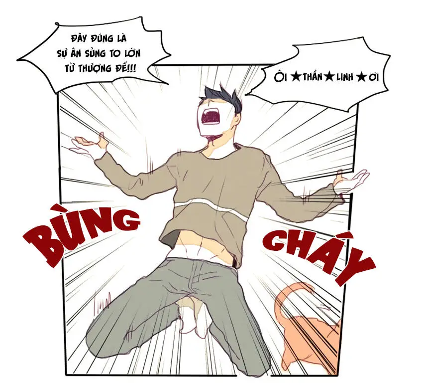 Chapter 17