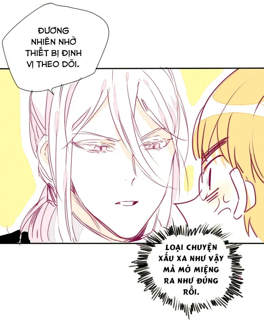 Chapter 16