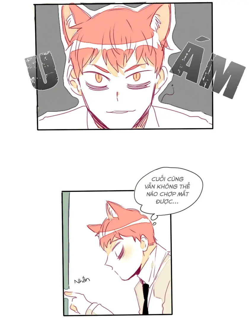 Chapter 16