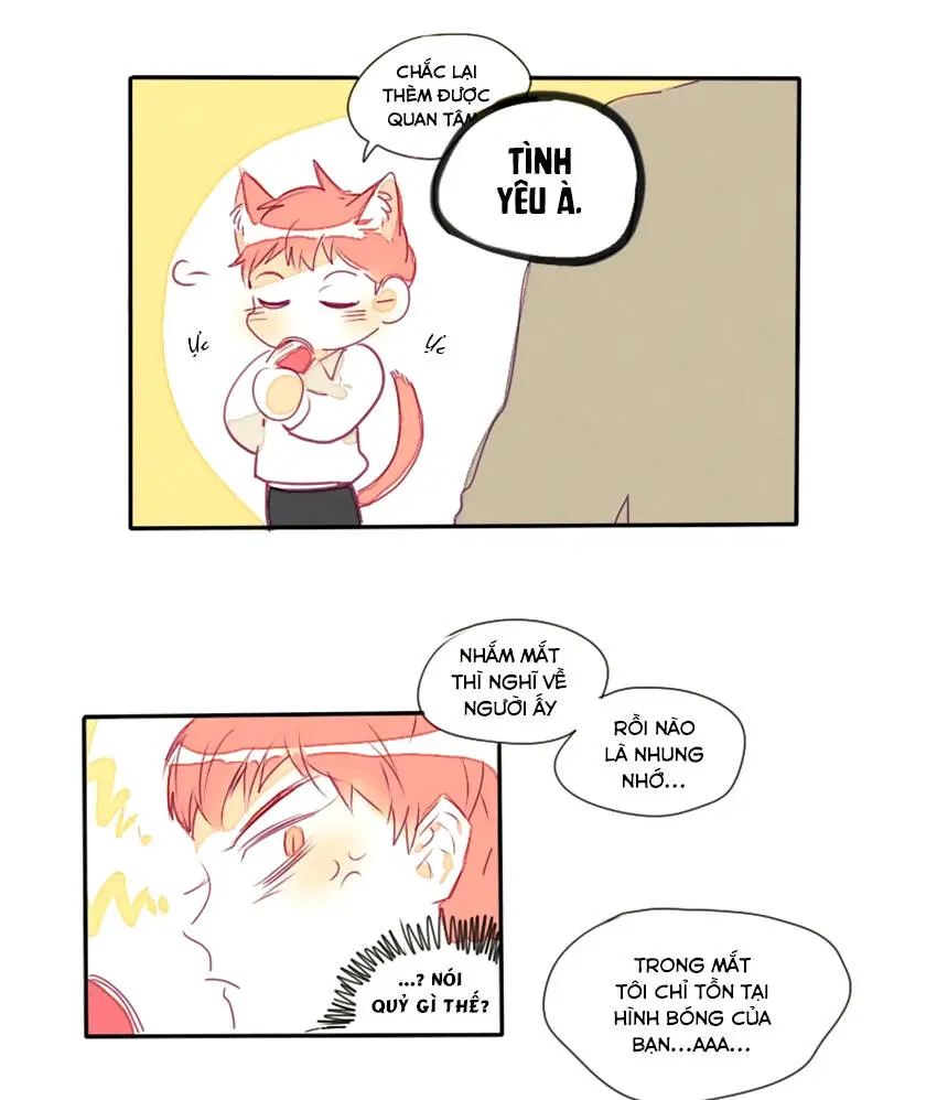 Chapter 16