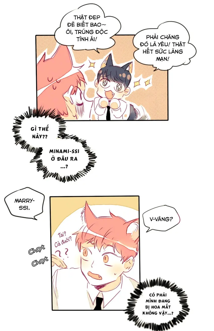 Chapter 16