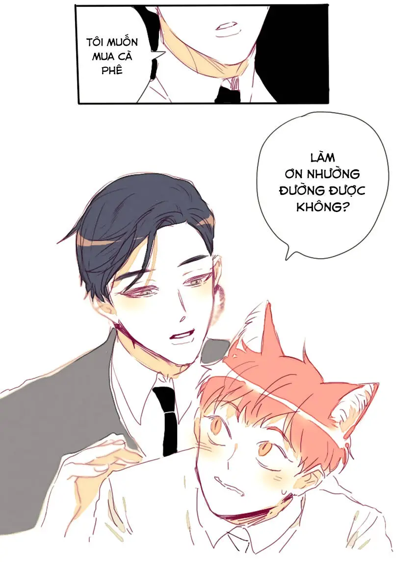 Chapter 16